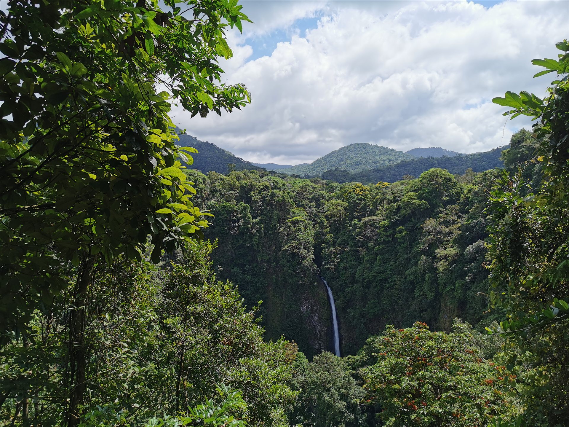 Costa Rica – Regenwald